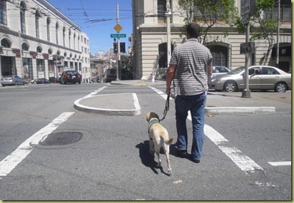 Reyna and Tony crossing Van Ness St.  Reyna is walking nicely on a loose leash.