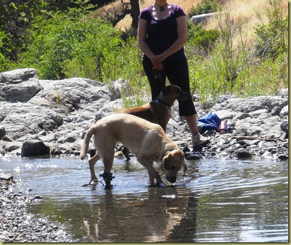 Stephanie, Pete and Reyna at the creek.  Reyna is out in the water splashing and digging at the rocks on the bottom of the creek bed.