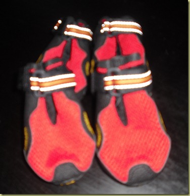 A photo of Reyna's red booties.