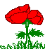 aa.png