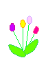 fl040.png