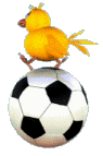 bird-football.png