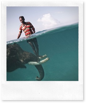 Nazroo, a mahout (elephant driver), poses for a portrait while taking his elephant, Rajan, out for a swim in front of Radha Nagar Beach in Havelock, Andaman Islands. Rajan is one of the few elephants in Havelock that can swim, so when he is not dragging timber in the forest he is used as a tourist attraction. The relationship between the mahout and his elephant usually lasts for their entire lives, creating an extremely strong tie between the animal and the human being. (Photo and caption by Cesare Naldi)