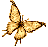 th_dh397b.png