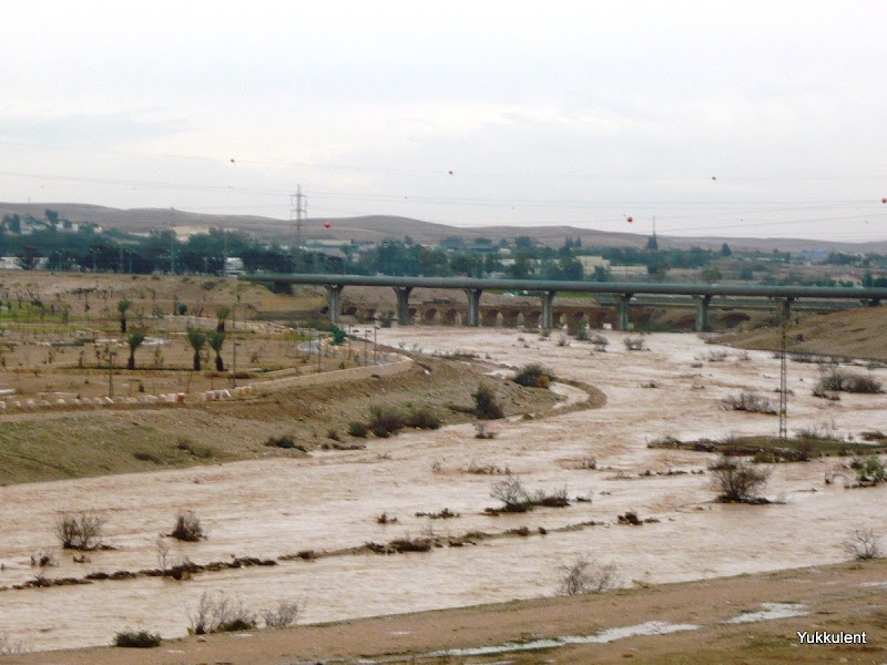 Паводки в Негеве. 