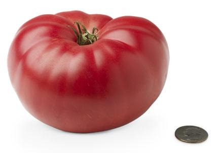 [19-heirloom-tomato[3].jpg]