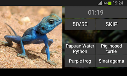 Guess the reptile poster 7