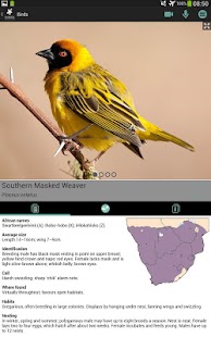 Sasol Birds for Beginners Screenshots 12