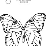 ABEJAS, MARIPOSAS Y CATARINAS-12.jpg