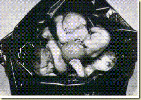 aborto2