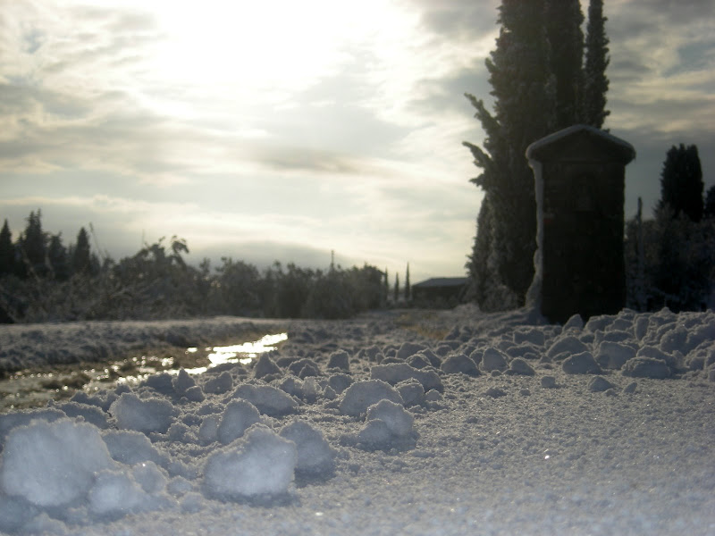 DSCN1972.JPG