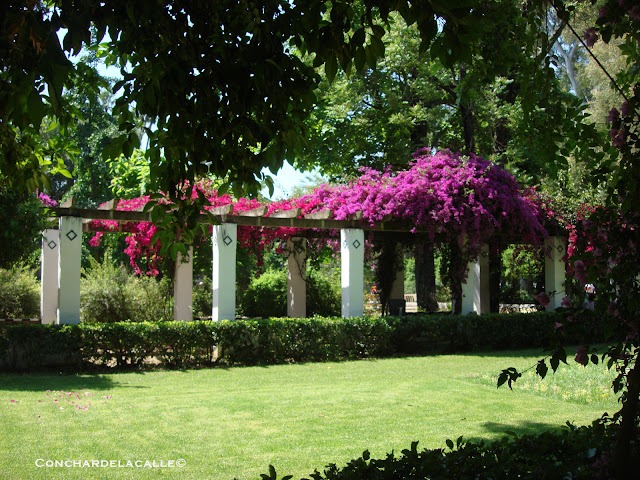 Parque de María Luisa - Mayo2011 (86).JPG
