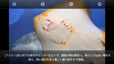 魚津水族館ARおさかな図鑑のおすすめ画像3