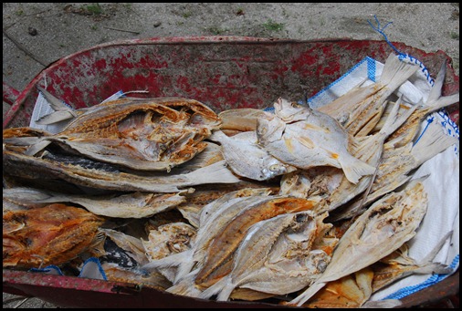 Mapia Dried Fish