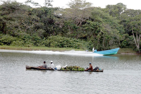 Reserva de la Biosfera de Río Plátano