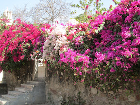 IMG_0939-2011-02-16-15-13.JPG