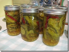 spicy pickles 05
