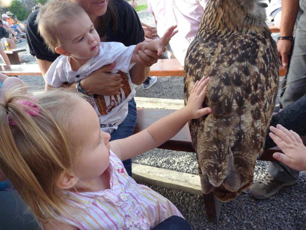 [20110324 [P1010995] - Birds of Prey[5].jpg]