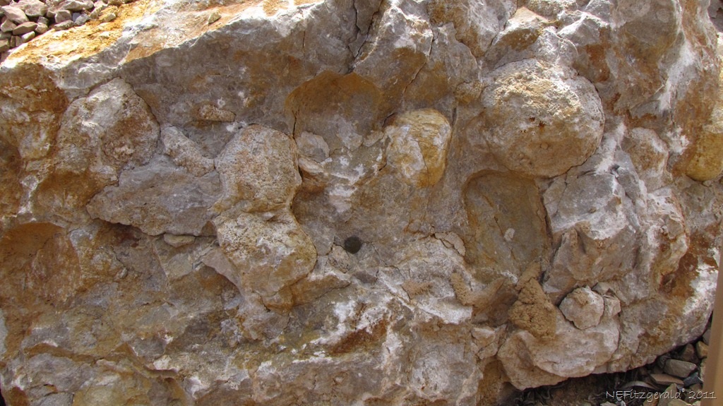 [032_Chert Nodules_In_ Kaibab_ Limestone[12].jpg]