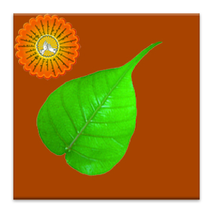 Dhamma Quotes.apk 1.0