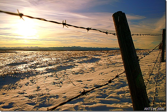 Winter scene near Cochrane
