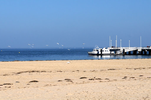 Франция 2010. Аркашон