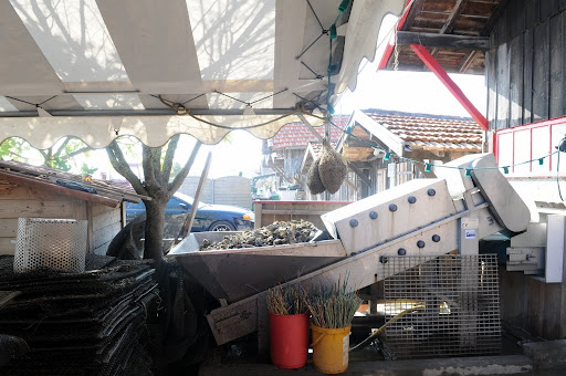 Франция 2010. Аркашон