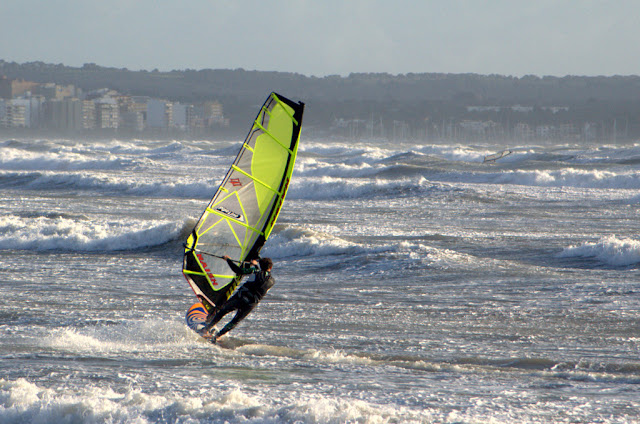 DSC_1141.jpg