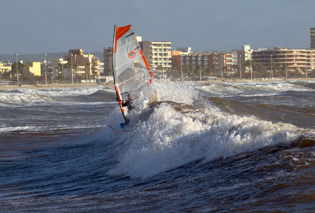 DSC_0312.jpg