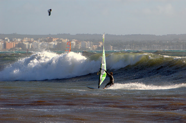 DSC_0321.jpg