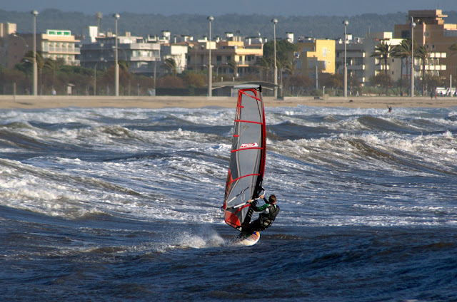 DSC_0568.jpg