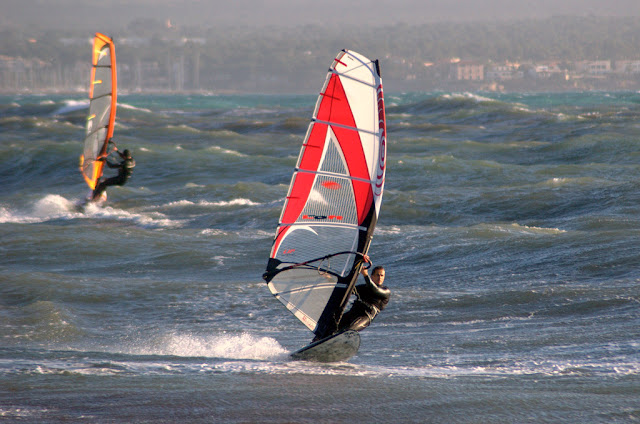 DSC_0646.jpg