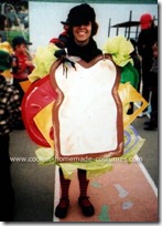 coolest-sandwich-costume-3-21298564