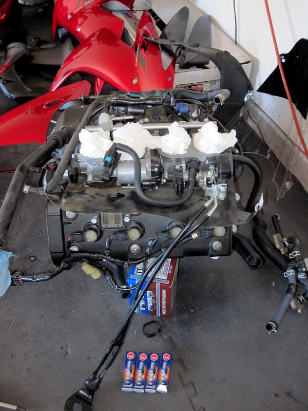 R1 transplant | Yamaha R1 Forum: YZF-R1 Forums