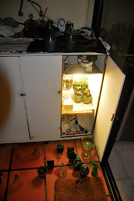 DSC_1161.jpg
