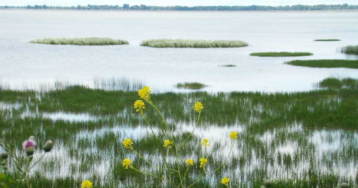Long Point and the Bay