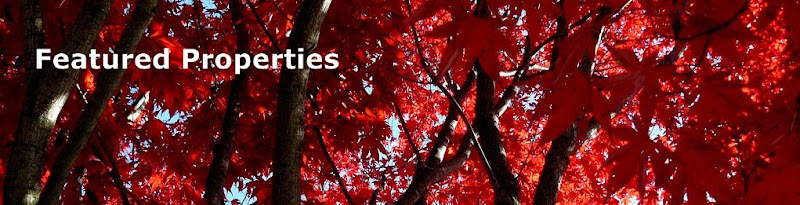 Featured Properties Banner - Red Folliage - Credit Kum Me