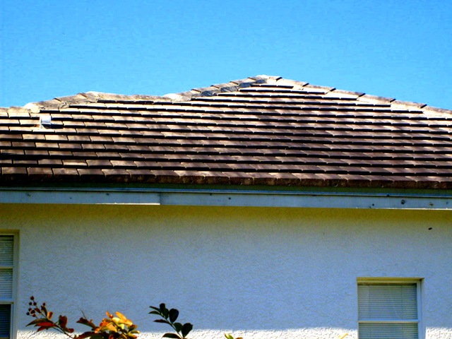 [Tampa Non Pressure Roof Cleaning 022[2].jpg]