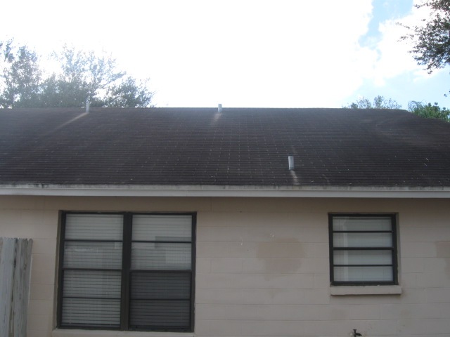 [Tile-Roof-Cleaning-33601-Tampa-FL 11-17-2009 3-35-05 AM[3].jpg]