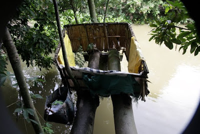 mekong delta toilet, outhouse toilet, tree outhouse toilet