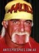 Hulk Hogan,  