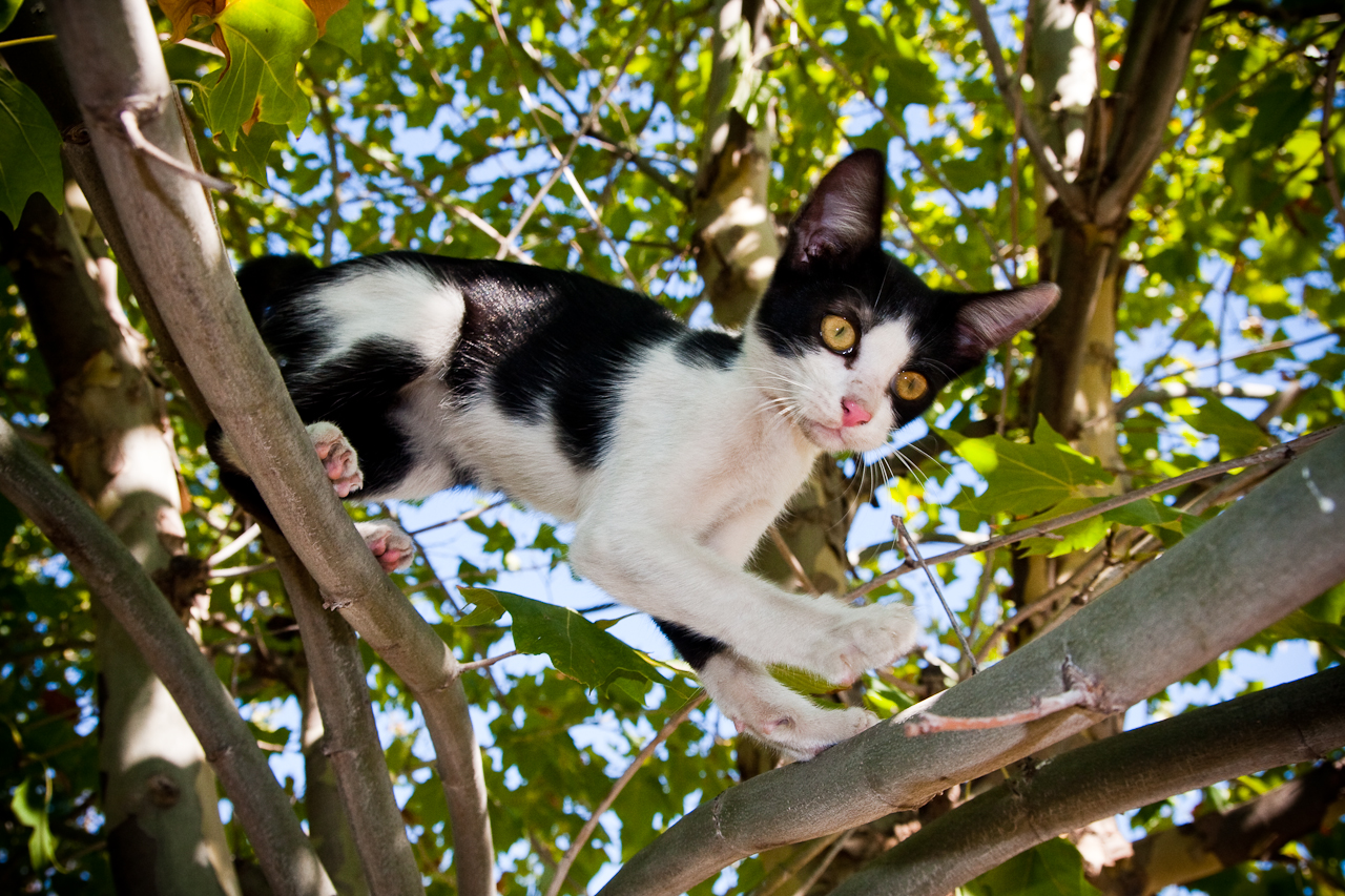 May 2010 Javier Echaiz Photography