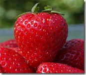 strawberryfresh