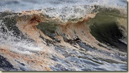 oil-wave-cp-orange-beach-alabama