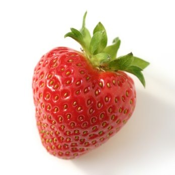 [strawberry2[9].jpg]