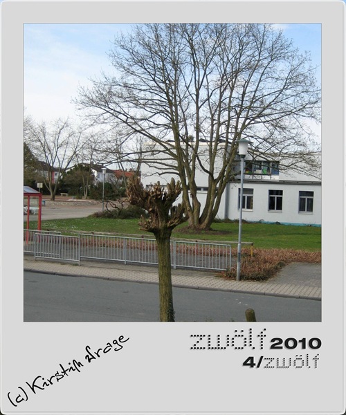 04-zwoelf2010_2