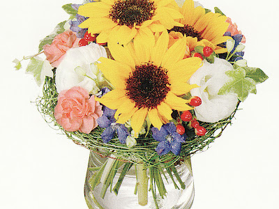 [最も欲しかった] マンゴー 花言葉 693133-マンゴー花言葉由来