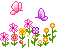 flor24 flor24