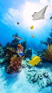 Trial Aquarium 360 LWP(圖1)-速報App