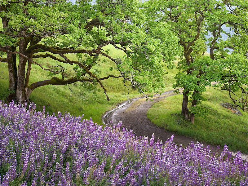 Big size landscape wallpapers-landscape wallpapers